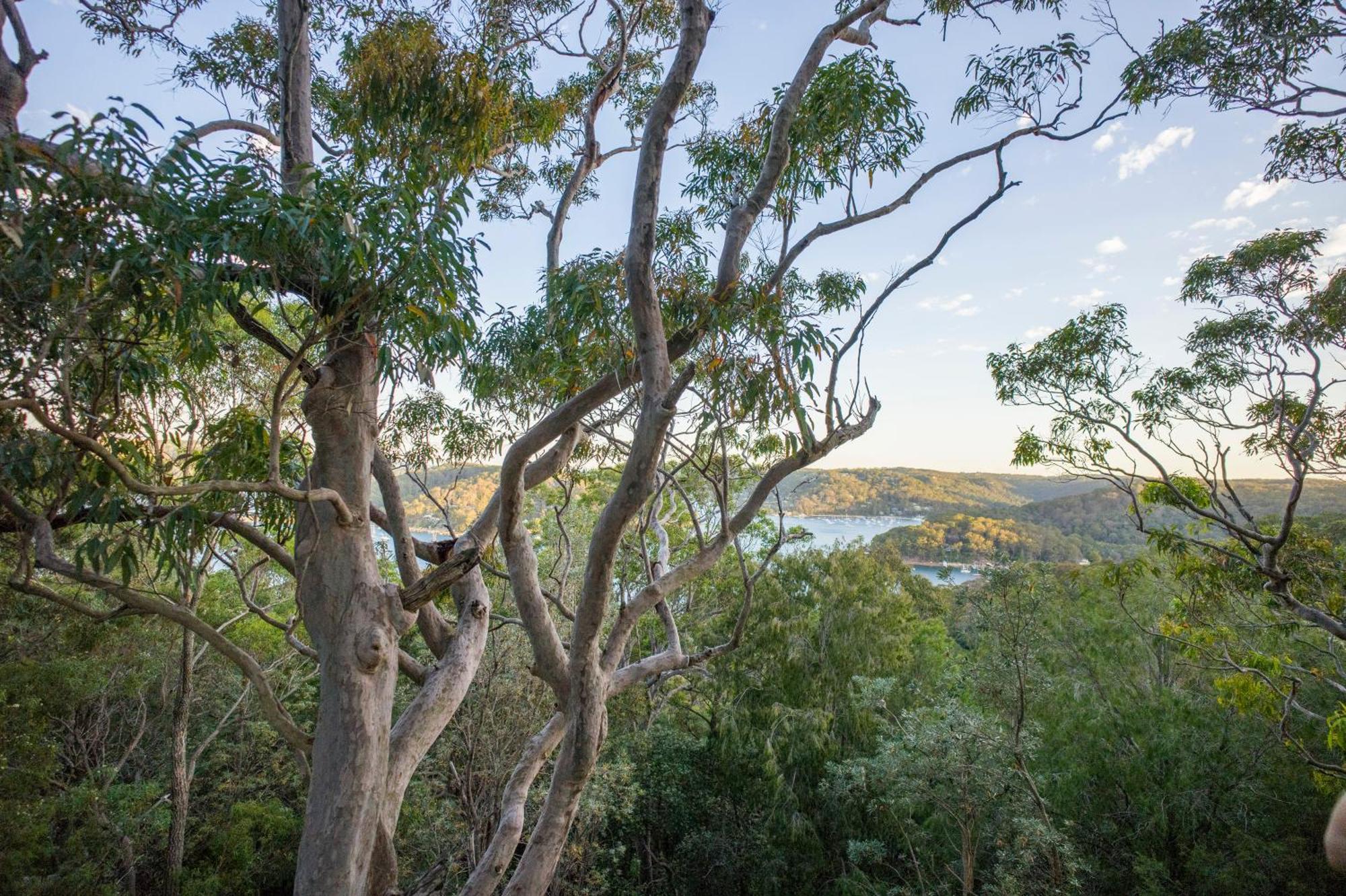 Church Point Yha Pittwater Eco, Sydney旅舍 外观 照片